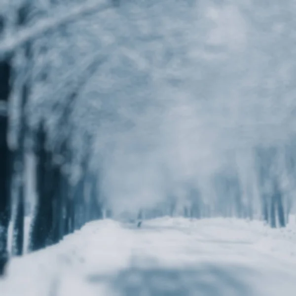 Suddig Bakgrund Urban Street Och Träd Snön — Stockfoto