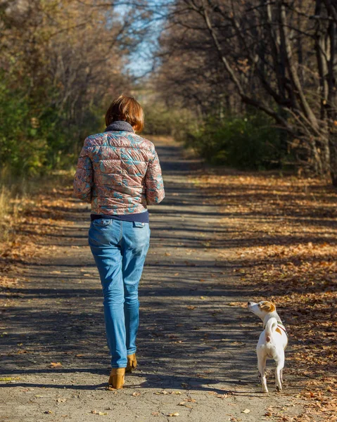 Mujer Paseando Con Perro Parque Otoño Edad Años — Foto de Stock