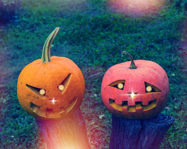 Çift Halloween Pumpkins Bulanık Doğal Zemin Üzerine — Stok fotoğraf