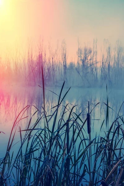 Misty Πρωί Φθινόπωρο Στις Όχθες Του Ποταμού Αγροτικό Τοπίο — Φωτογραφία Αρχείου