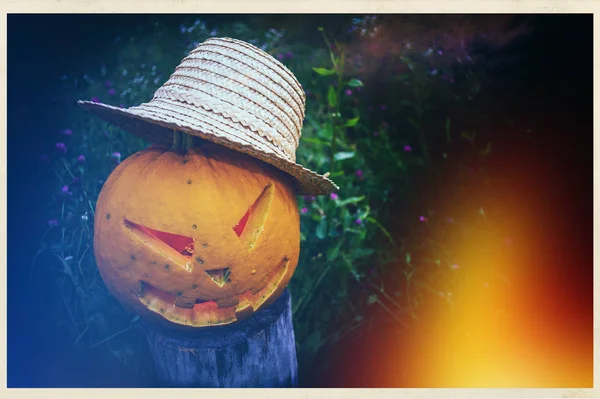 Scary Pumpkin in a straw hat on halloween on background of grass in a meadow