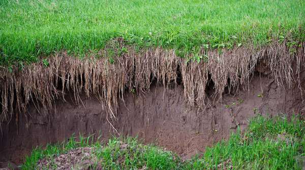 soil erosion in the agricultural field