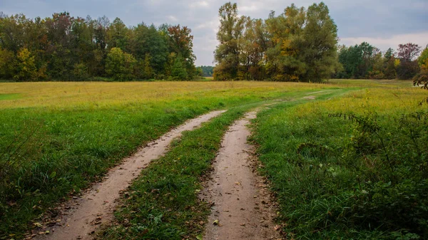 Autunno Paesaggio Strada Sterrata Prato Sfondo Foresta — Foto Stock