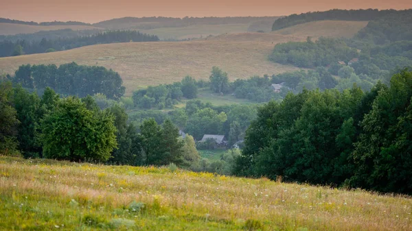 Краєвид Пагорбах Листяних Лісах Літній Сезон — стокове фото