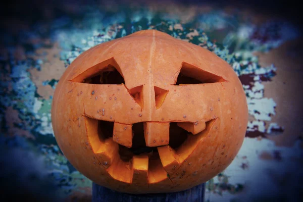 Halloween Pumpkin Blurred Background Wall — Stock Photo, Image