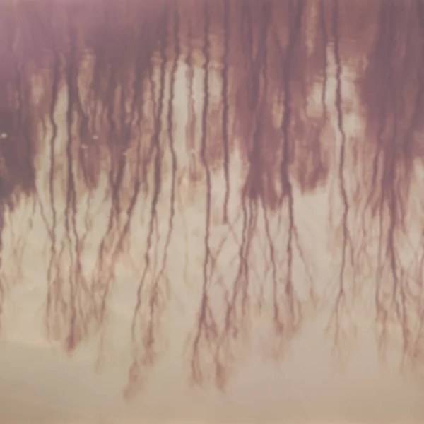 水樹のぼかされた反射 — ストック写真