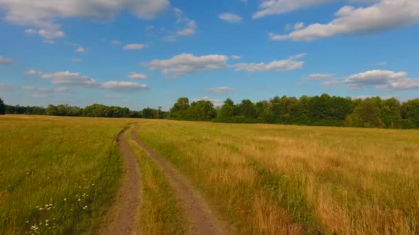 Szenische Aufnahmen Einer Ruhigen Naturlandschaft — Stockvideo