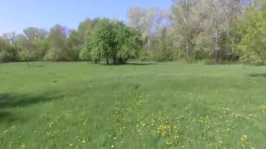 Sakin doğal manzara havadan görüntüleri