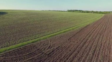 Sakin doğal manzara havadan görüntüleri