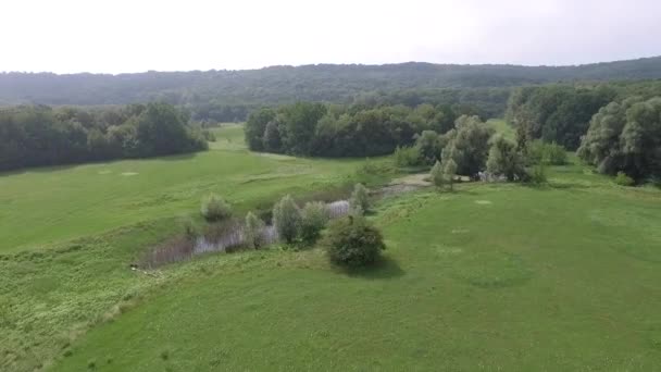 Luftaufnahmen Einer Ruhigen Naturlandschaft — Stockvideo