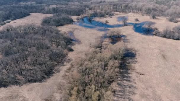 Imágenes Aéreas Paisajes Naturales Tranquilos — Vídeo de stock