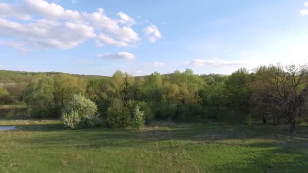 Воздушные Съемки Спокойного Природного Ландшафта — стоковое видео