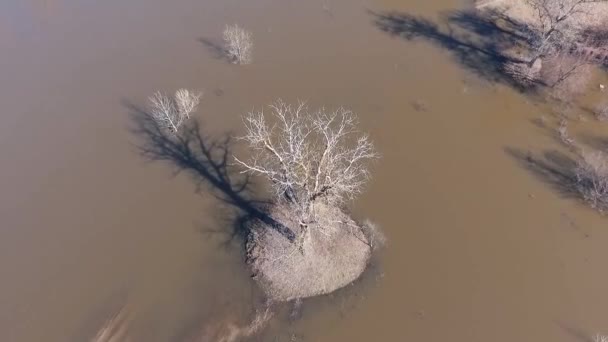 Sakin Doğal Manzara Havadan Görüntüleri — Stok video
