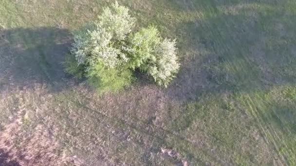 Aerial Footage Lugna Naturliga Landskapet — Stockvideo