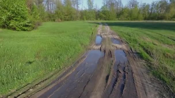 Szenische Aufnahmen Einer Ruhigen Naturlandschaft — Stockvideo