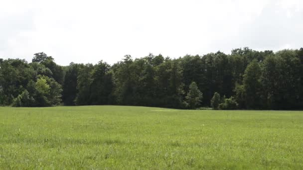 Luchtfoto Beelden Van Rustige Natuurlijke Landschap — Stockvideo