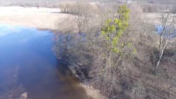 Aerial Footage Lugna Naturliga Landskap Med Blå Sjön — Stockvideo