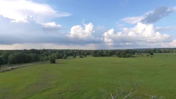 静かな自然の風景の空中映像 — ストック動画