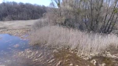 Sakin doğal manzara havadan görüntüleri