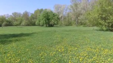 Sakin doğal manzara havadan görüntüleri