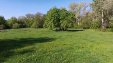 Sakin doğal manzara havadan görüntüleri