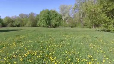 Sakin doğal manzara havadan görüntüleri