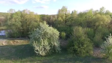 Sakin doğal manzara havadan görüntüleri