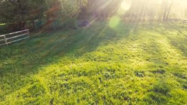 Sakin doğal manzara havadan görüntüleri