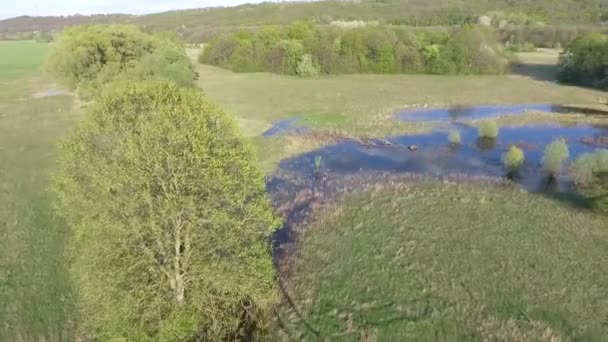 Aerial Footage Lugna Naturliga Landskapet — Stockvideo