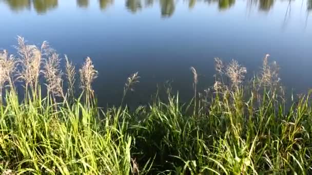 images tranquilles de surface ondulée de l'eau de la rivière 