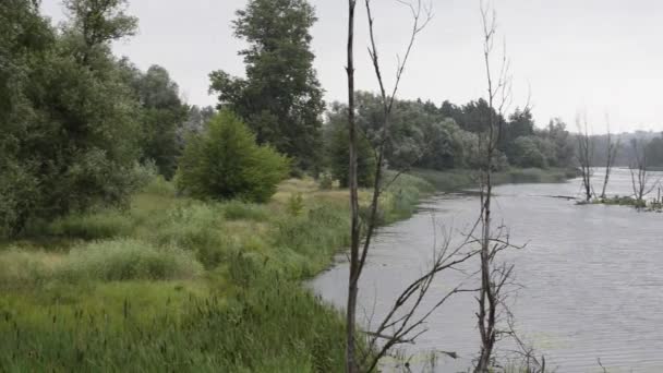 Szenische Aufnahmen Einer Ruhigen Naturlandschaft — Stockvideo