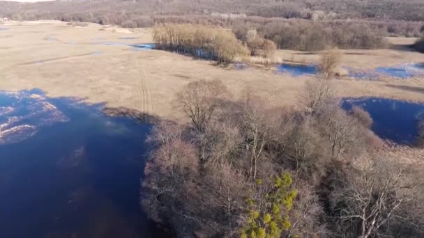 Imagens Aéreas Paisagem Natural Tranquila Com Lago Azul — Vídeo de Stock