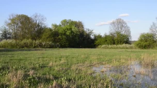 Séquences Panoramiques Paysage Naturel Tranquille — Video