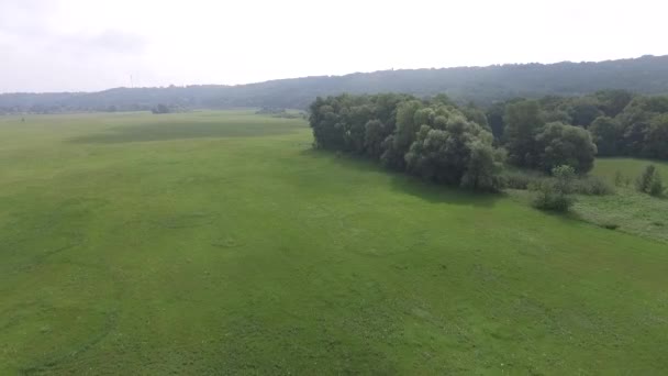 Повітряні Кадри Тихого Природного Ландшафту — стокове відео