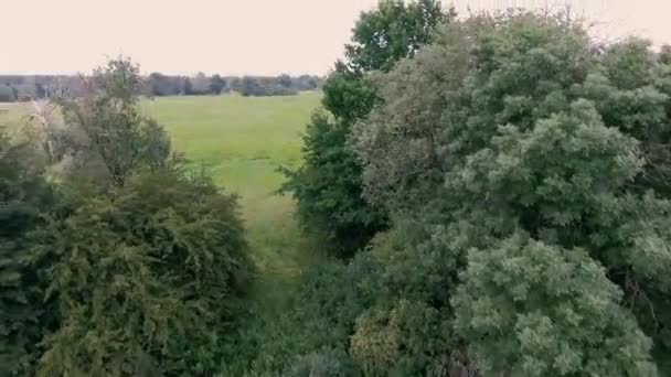 Luchtfoto Beelden Van Rustige Natuurlijke Landschap — Stockvideo