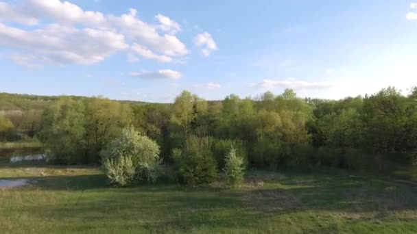 Aerial Footage Lugna Naturliga Landskapet — Stockvideo