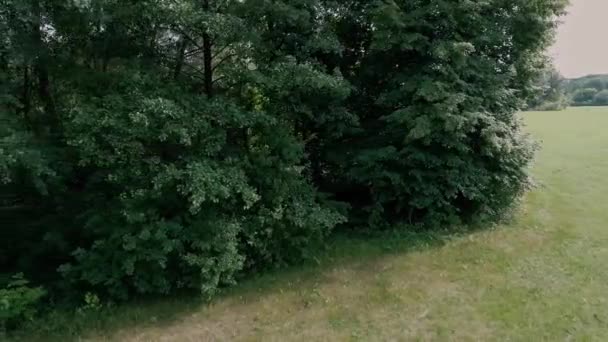 Luchtfoto Beelden Van Rustige Natuurlijke Landschap — Stockvideo