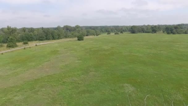 Riprese Aeree Panoramiche Prati Verdi Bosco — Video Stock