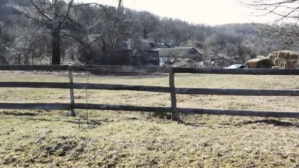 Séquences Panoramiques Paysage Naturel Tranquille — Video