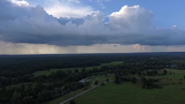 Мальовничі Аерофотознімки Дощу Падають Над Зеленими Луками Лісом — стокове відео