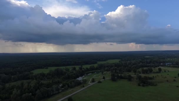 Images Aériennes Pittoresques Pluie Tombant Sur Les Prairies Verdoyantes Forêt — Video