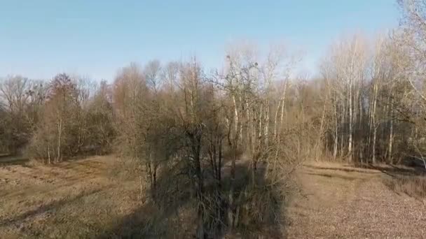 Luchtfoto Beelden Van Rustige Natuurlijke Landschap — Stockvideo