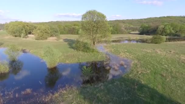 静かな自然の風景の空中映像 — ストック動画