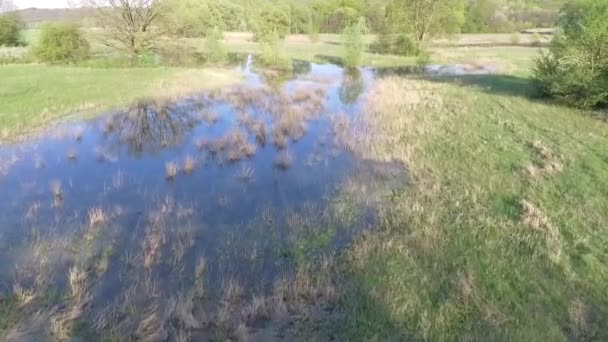 Luftaufnahmen Einer Ruhigen Naturlandschaft — Stockvideo