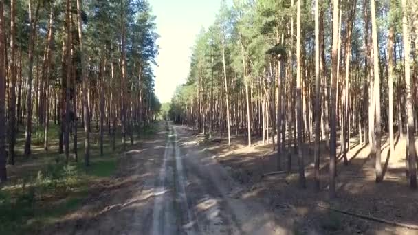 Szenische Aufnahmen Einer Ruhigen Naturlandschaft — Stockvideo