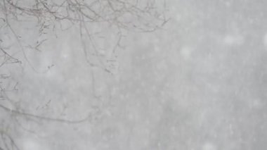 bulanık arka planda ağır kar yağışı yakın çekim görüntüleri