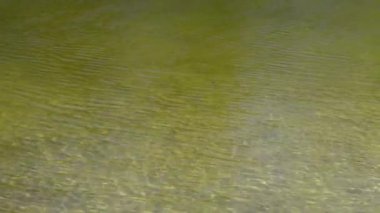 nehrin dalgalı su yüzeyinin sakin görüntüleri