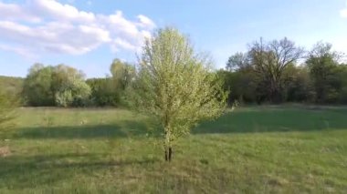 Sakin doğal manzara havadan görüntüleri