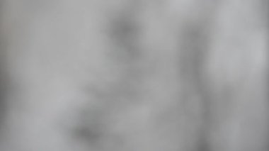 bulanık arka planda ağır kar yağışı yakın çekim görüntüleri