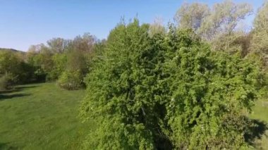 Sakin doğal manzara havadan görüntüleri